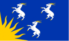 Merionethshire Table Flags